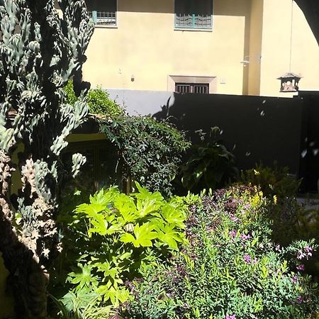 Loquat House Nel Giardino Segreto In Zona Vaticano Рим Экстерьер фото