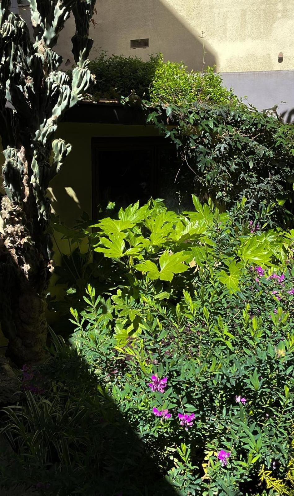 Loquat House Nel Giardino Segreto In Zona Vaticano Рим Экстерьер фото