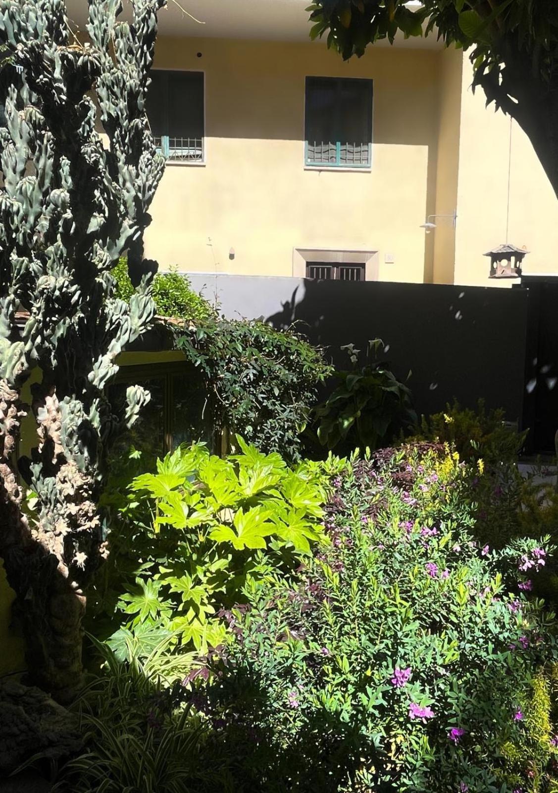 Loquat House Nel Giardino Segreto In Zona Vaticano Рим Экстерьер фото